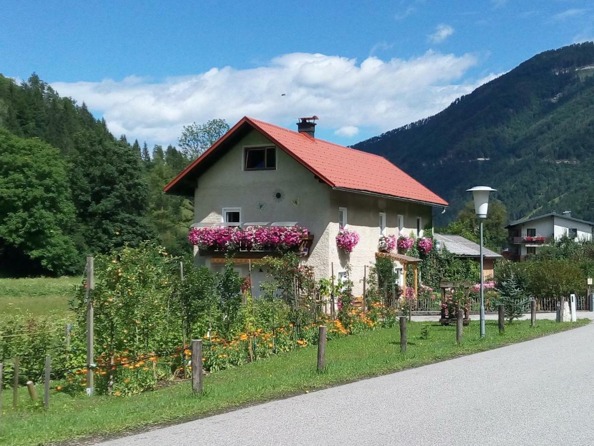 Appartment Haring Hollenstein an der Ybbs Exterior foto